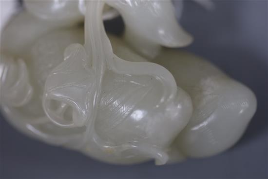 A good Chinese white jade group of two mandarin ducks biting lotus tendrils, 18th/19th century, L. 7.2cm